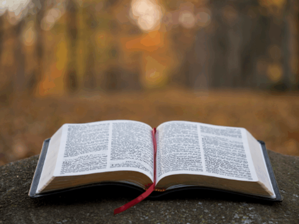Change Inspires Action Live With Purpose and Faith